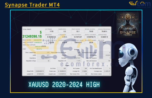 Synapse Trader MT4 Backtests