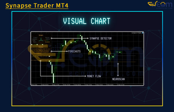 Synapse Trader MT4 Review
