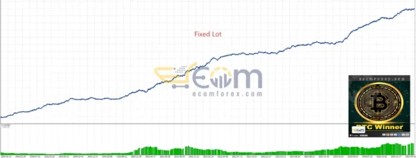 The BTC Winner MT5 Backtest