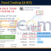 AW Gold Trend Trading EA MT5 Live Trading