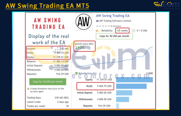 AW Swing Trading EA MT5 Live Result