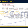 Associate Manager EA MT5 Backtest Result