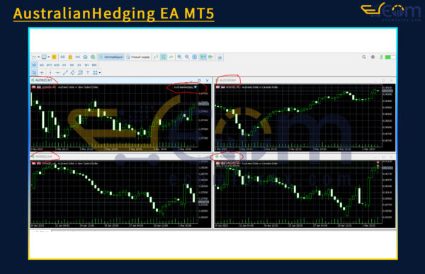 AustralianHedging EA MT5 Review