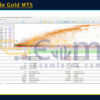 Autotrade Gold Backtests Results