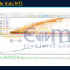 Autotrade Gold MT5 Backtest Results