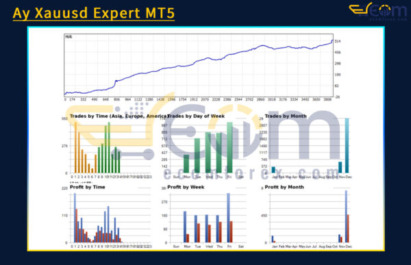 Ay Xauusd Expert MT5 Backtests