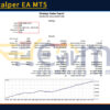 Beast Scalper EA MT5 Backtest