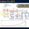 Bitcoin Scalper Pro MT5 Backtests