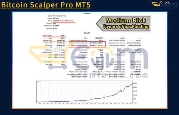 Bitcoin Scalper Pro MT5 Backtests