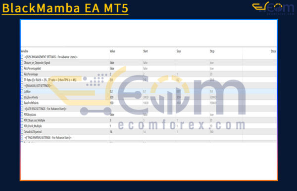 BlackMamba EA MT5 Input