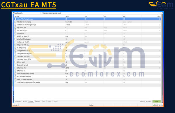 CGTxau EA MT5 Input