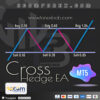 Cross Hedge EA MT5 Logo
