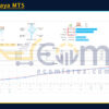 Dunia Maya MT5 Live Result