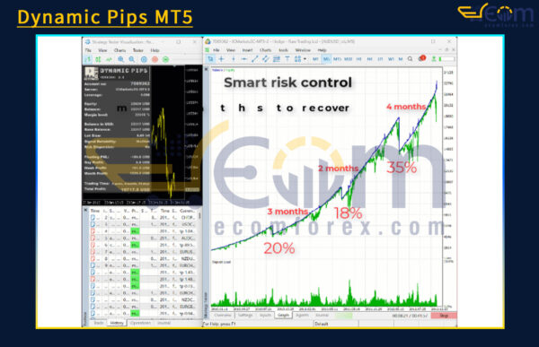 Dynamic Pips MT4 Backtests