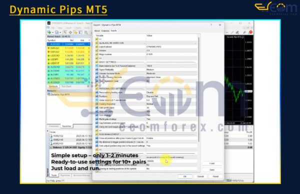 Dynamic Pips MT4 Input