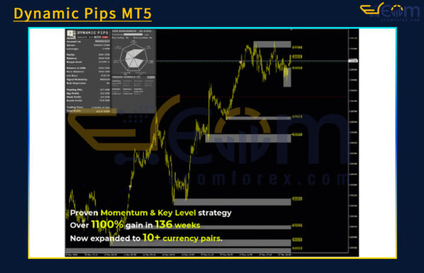 Dynamic Pips MT4 Review