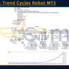 Dynamic Trend Cycles Robot MT5 Backtest Result