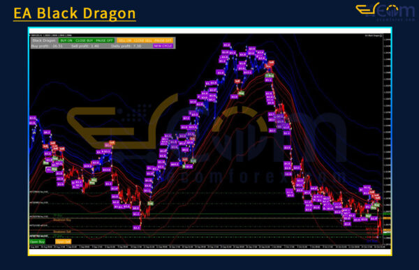 EA Black Dragon Review