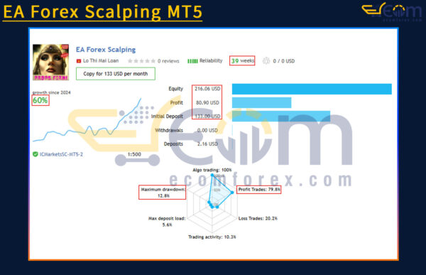 EA Forex Scalping MT5 Live Result