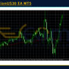 FluctuationUS30 EA MT5 Review