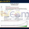 Full Margin EA MT4 Backtest