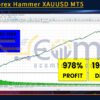 GOLD Forex Hammer XAUUSD MT5 Backtest
