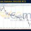 GOLD Forex Hammer XAUUSD MT5 Review