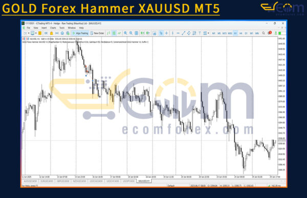 GOLD Forex Hammer XAUUSD MT5 Review