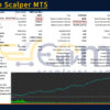 GoldFish Scalper MT5 Backtest