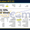 Golden Scalper MT5 V2 Backtest