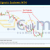 Gorilla Signals Systems MT4 Reviews