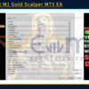HFT Fast M1 Gold Scalper MT5 EA Input