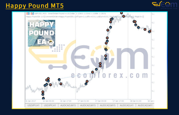 Happy Pound MT5 Review