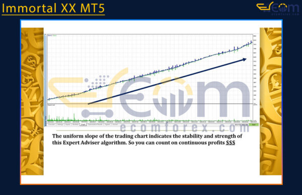 Immortal XX MT5 Backtest