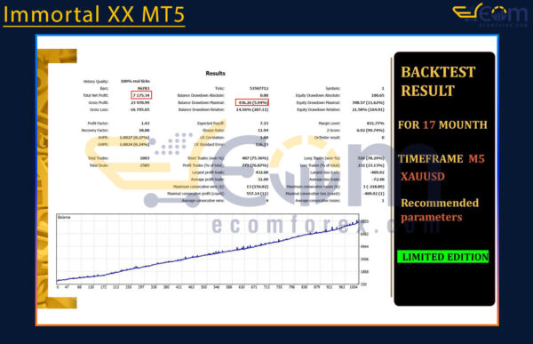 Immortal XX MT5 Backtests