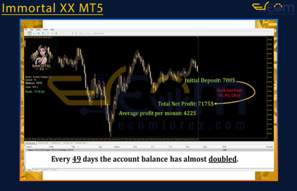 Immortal XX MT5 Review