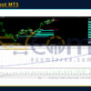 MSB Robot MT5 Backtests