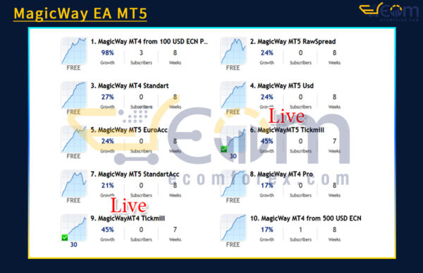 MagicWay EA Live Result