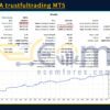 MasterEA trustfultrading MT5 Backtests Result