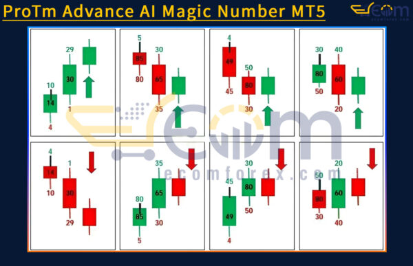 ProTm Advance AI Magic Number MT5 Review