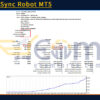 R Trend Sync Robot MT5 Backtests