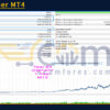 Real Miner MT4 Backtests Result