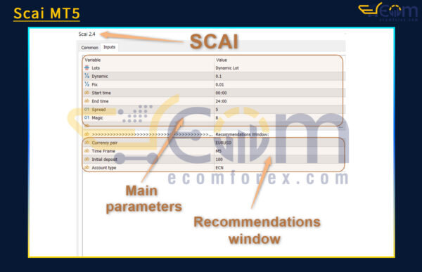 Scai MT5 Review