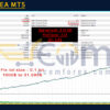 Squid X EA MT5 Backtest