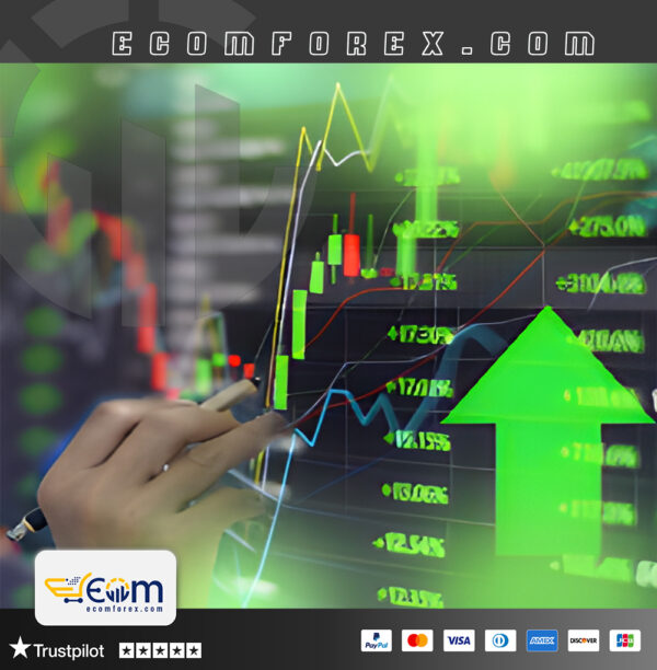 Stern Bot EA MT5 Logo