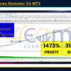 THOR Forex Hammer EA MT5 Backtests
