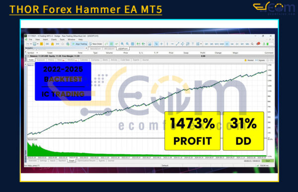 THOR Forex Hammer EA MT5 Backtests
