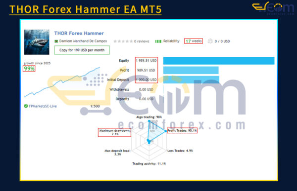 THOR Forex Hammer EA MT5 Live Result