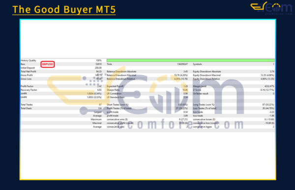 The Good Buyer MT5 Backtest