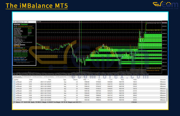 The iMBalance MT5 Review